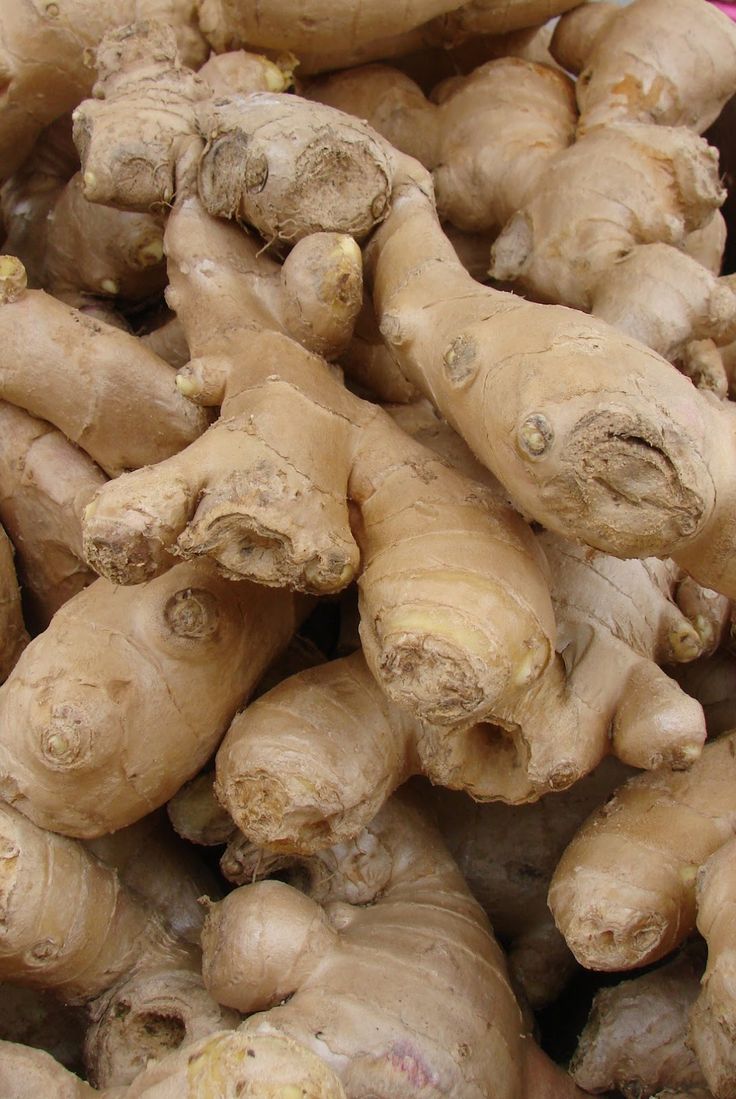 Gember extract noba.jpeg