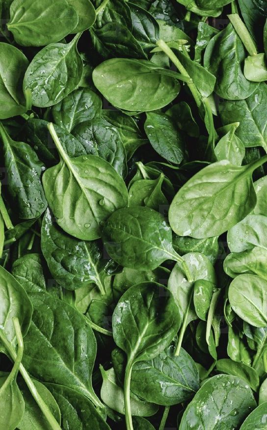 Ubiqinol Co enzyme 10.jpeg