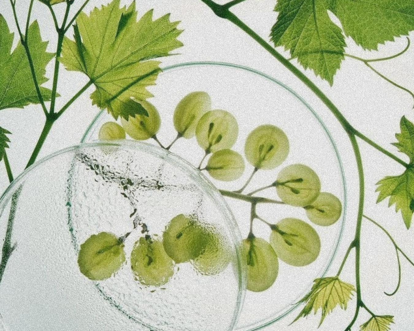 noba instagram posts 2 NL-72.png