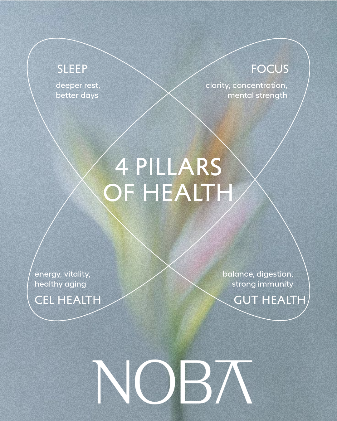 noba instagram posts deel 2-29.png