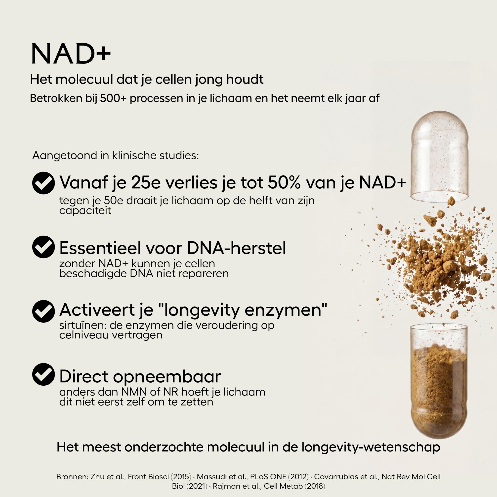 Renew noba product afbeeldingen-4-noba_Focus_afbeeldingen-4-noba-guthealth-ingredi.png